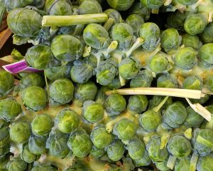 NJ Brussels Sprouts
