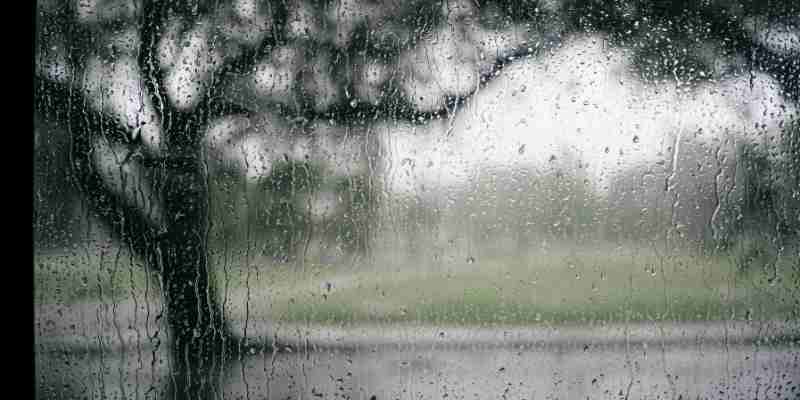 Nettye Johnson Blog - In the Rain