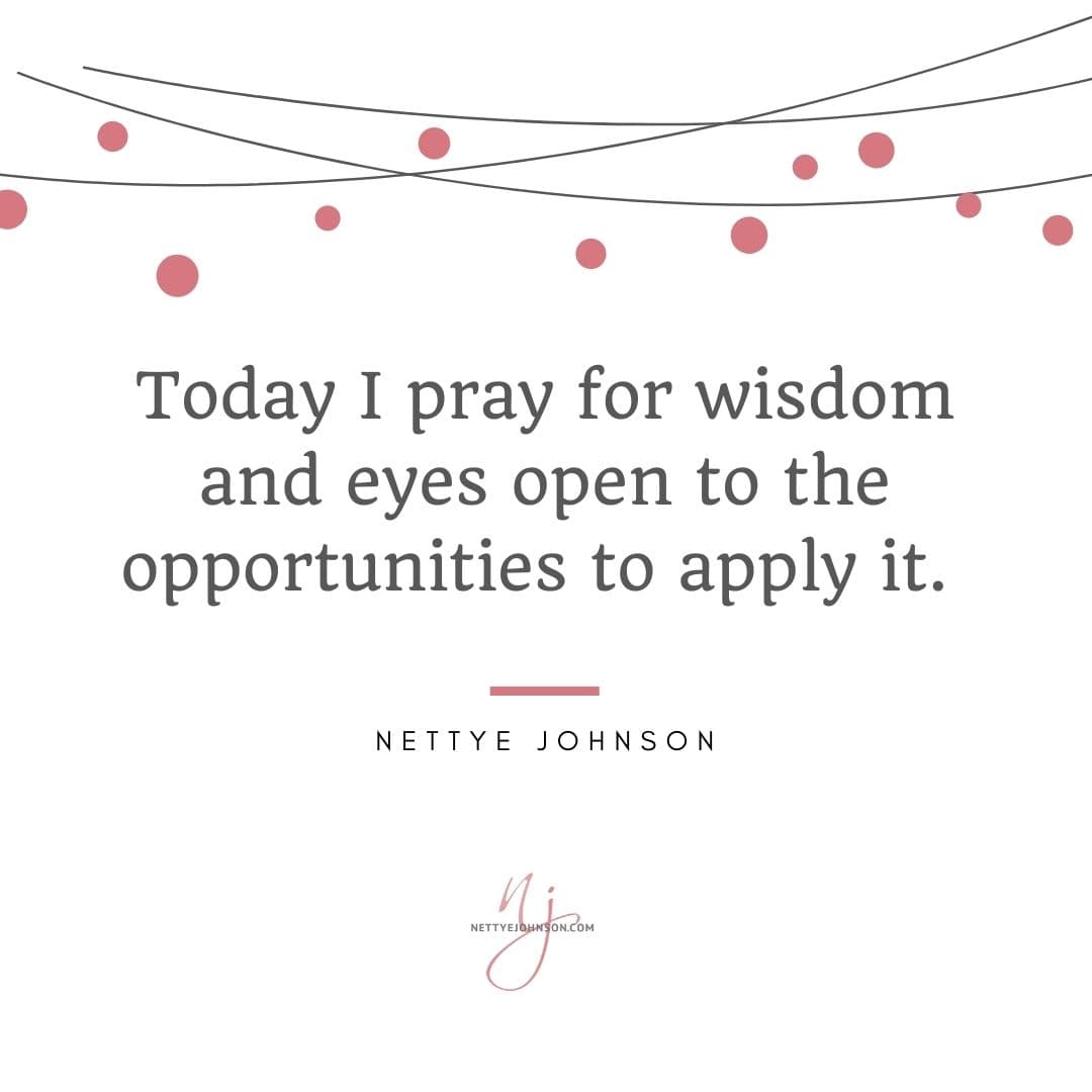 Nettye Johnson Quote Image - Pray Apply Opportunities