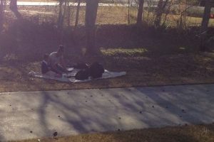 Image of kids doing homework outside - NJ Blog